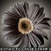 dark daisy flower stamp